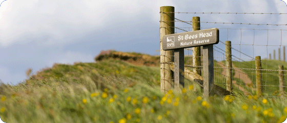 Nature Reserve