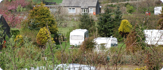 Tourers amongst trees